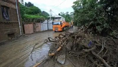 Zakon.kz, фото - Новости Zakon.kz от 22.06.2015 21:57