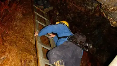 Pixabay, фото - Новости Zakon.kz от 06.11.2019 19:30