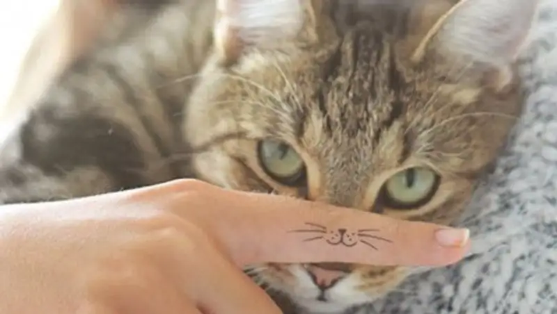 23 лучшие идеи татуировок для преданных любителей котиков