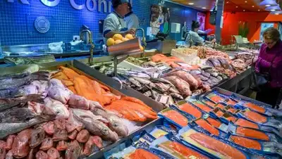 Pixabay, фото - Новости Zakon.kz от 21.02.2019 09:43