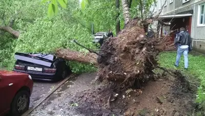 Zakon.kz, фото - Новости Zakon.kz от 30.05.2017 15:31
