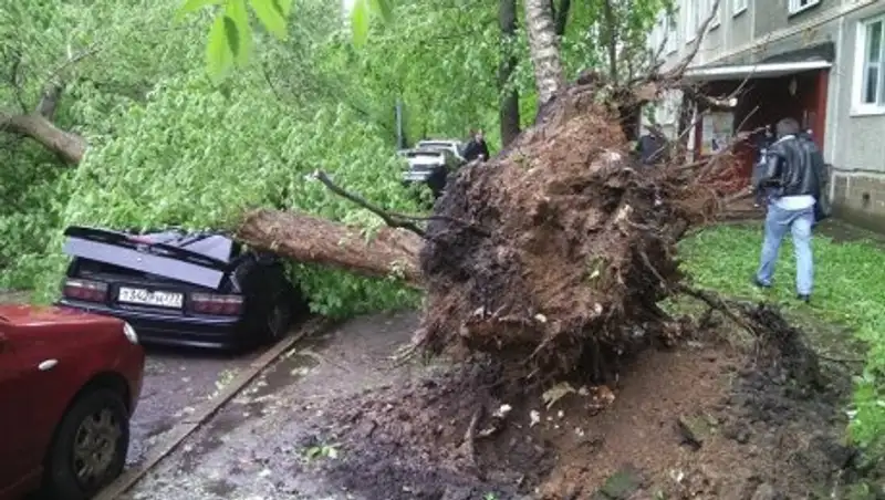 Последствия урагана в Москве ликвидируют более тысячи спасателей