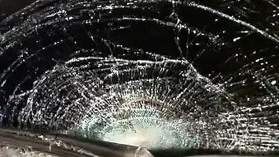 Zakon.kz, фото - Новости Zakon.kz от 05.11.2015 21:56