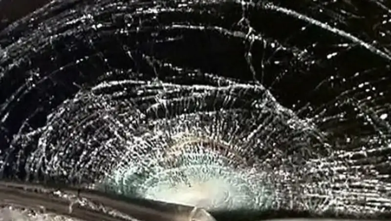 51-летняя женщина погибла под колесами Ауди в ВКО