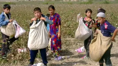 Озодагон, фото - Новости Zakon.kz от 14.02.2018 13:48