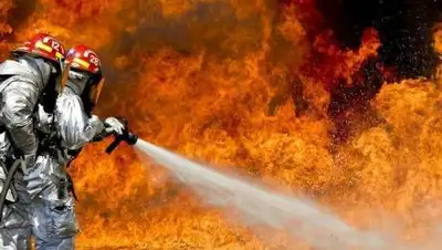 imag.one, фото - Новости Zakon.kz от 29.03.2021 06:01