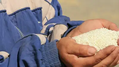 Zakon.kz, фото - Новости Zakon.kz от 13.02.2015 22:59