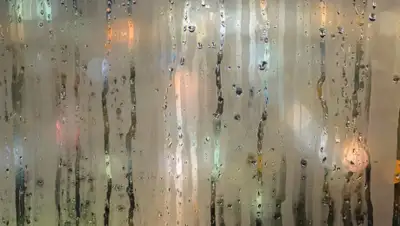 pixabay.com, фото - Новости Zakon.kz от 12.06.2019 15:21