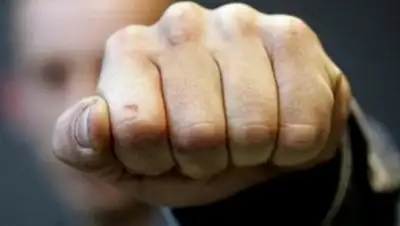 diapazon.kz, фото - Новости Zakon.kz от 08.02.2018 17:20