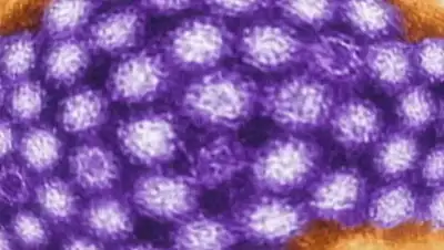 fox8live, фото - Новости Zakon.kz от 08.02.2020 11:53