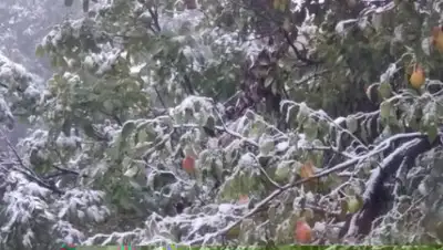 Zakon.kz, фото - Новости Zakon.kz от 30.09.2017 09:47