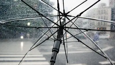 дождь, зонт
