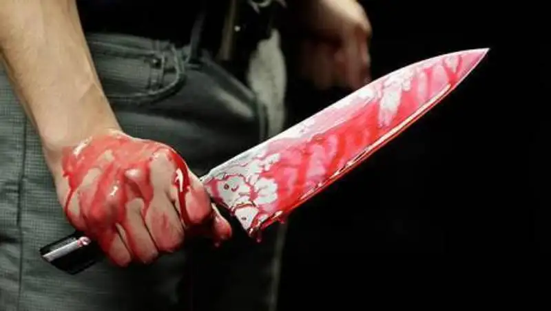 Жестокое тройное убийство произошло в Алматинской области