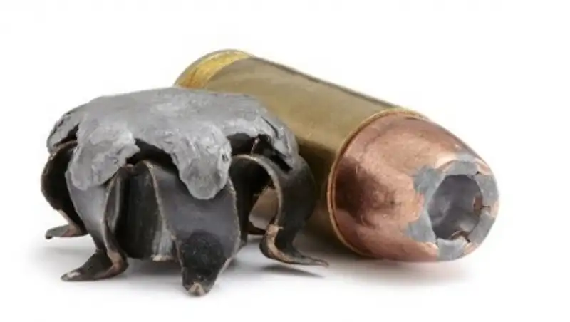 Мужчина в США устроил мастер-класс по чистке оружия и застрелился