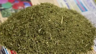 mir24.tv, фото - Новости Zakon.kz от 15.02.2019 11:39