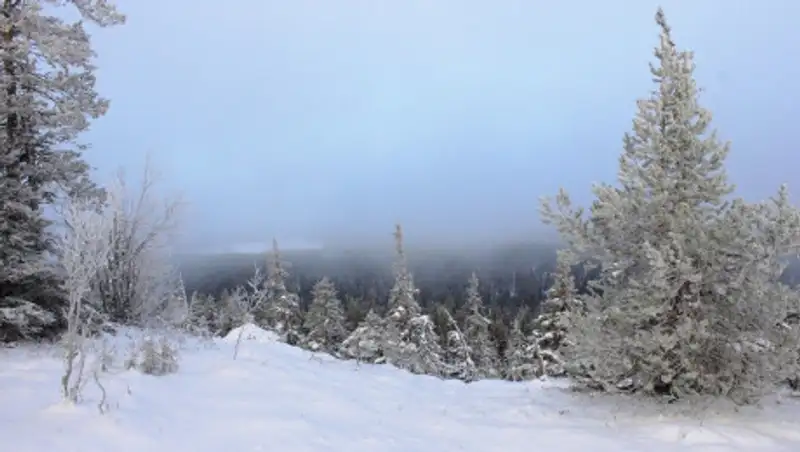 Найдено тело пропавшего 17-летнего инвалида из Актюбинской области