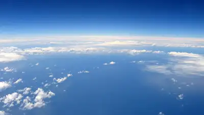 zviazda.by, фото - Новости Zakon.kz от 21.05.2020 14:09