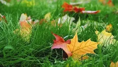 Zakon.kz, фото - Новости Zakon.kz от 01.09.2017 06:00