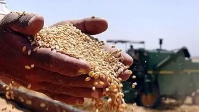 Zakon.kz, фото - Новости Zakon.kz от 05.08.2014 01:00