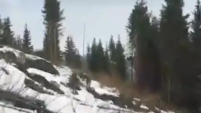 кадр из видео, фото - Новости Zakon.kz от 06.03.2020 16:58