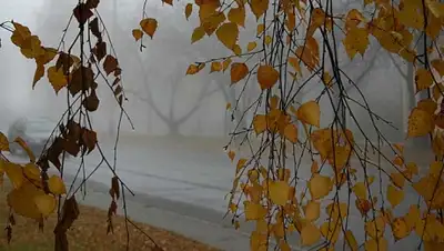 Zakon.kz, фото - Новости Zakon.kz от 19.10.2015 12:06