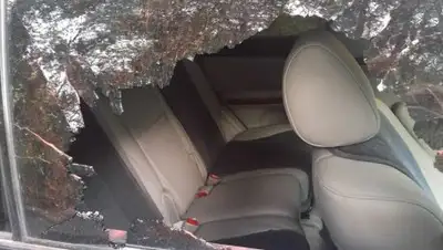 соцсети, фото - Новости Zakon.kz от 21.07.2018 13:51