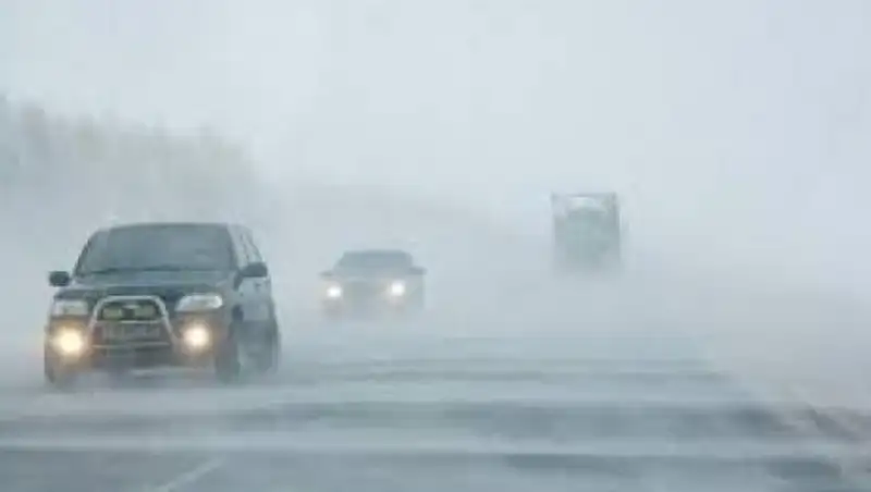 Павлодар облысында жексенбі к&#1199;ні 14 адам &#1179;ар &#1179;&#1201;рсауынан &#1179;&#1201;т&#1179;арылды