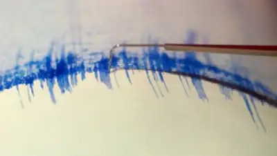 Zakon.kz, фото - Новости Zakon.kz от 04.01.2017 14:06