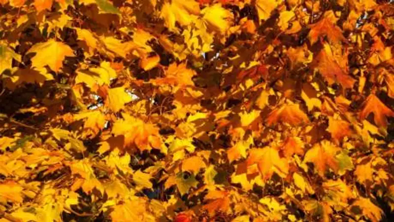 Какой будет погода 3 сентября в Казахстане