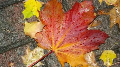 pxhere.com, фото - Новости Zakon.kz от 16.09.2021 15:15