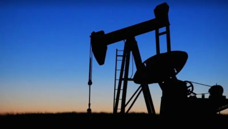 В 2020 году ОПЕК ожидает рекордного падения спроса на нефть в мире