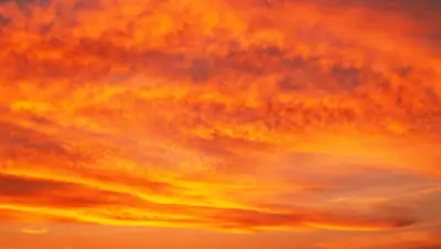 Pixabay, фото - Новости Zakon.kz от 14.06.2020 18:28