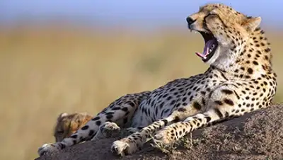 Zakon.kz, фото - Новости Zakon.kz от 10.12.2015 16:48