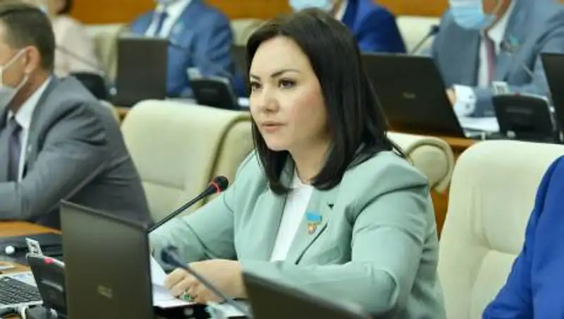 Выплачивать каждому ребенку по 230 тысяч тенге предлагает депутат
