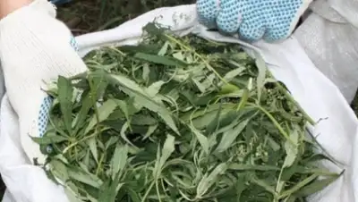 Zakon.kz, фото - Новости Zakon.kz от 18.10.2015 01:12