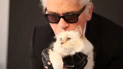 Zakon.kz, фото - Новости Zakon.kz от 01.04.2015 22:33