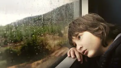 pixabay.com, фото - Новости Zakon.kz от 08.10.2019 19:46