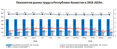 Zakon.kz, фото - Новости Zakon.kz от 12.02.2019 17:41
