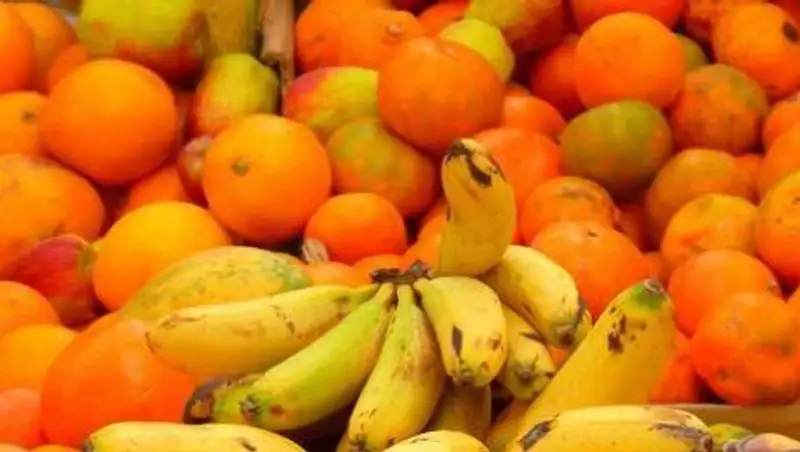 С начала года в Новосибирскую область не пустили более 500 тонн подкарантинной продукции