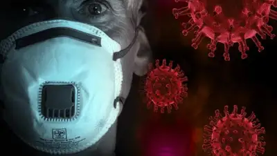 pixabay.com, фото - Новости Zakon.kz от 26.03.2020 13:31