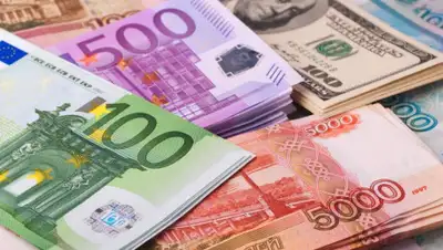 zakon.kz, фото - Новости Zakon.kz от 31.01.2020 16:11