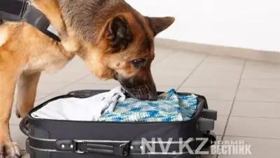 Zakon.kz, фото - Новости Zakon.kz от 22.08.2017 14:47