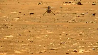 DW, фото - Новости Zakon.kz от 26.04.2021 07:45