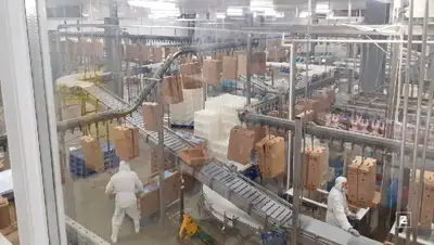 курицы, фото - Новости Zakon.kz от 31.12.2021 08:23