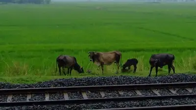 Zakon.kz, фото - Новости Zakon.kz от 09.06.2015 21:23