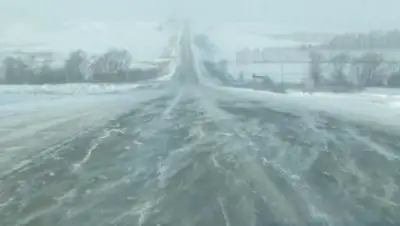 Zakon.kz, фото - Новости Zakon.kz от 30.03.2017 06:35