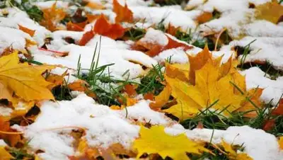 inform.kz, фото - Новости Zakon.kz от 23.09.2020 17:45