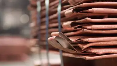 склад, фото - Новости Zakon.kz от 27.01.2022 18:38