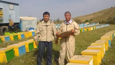 Zakon.kz, фото - Новости Zakon.kz от 15.08.2016 18:24