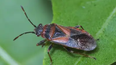 almaty.today, фото - Новости Zakon.kz от 20.02.2020 14:32